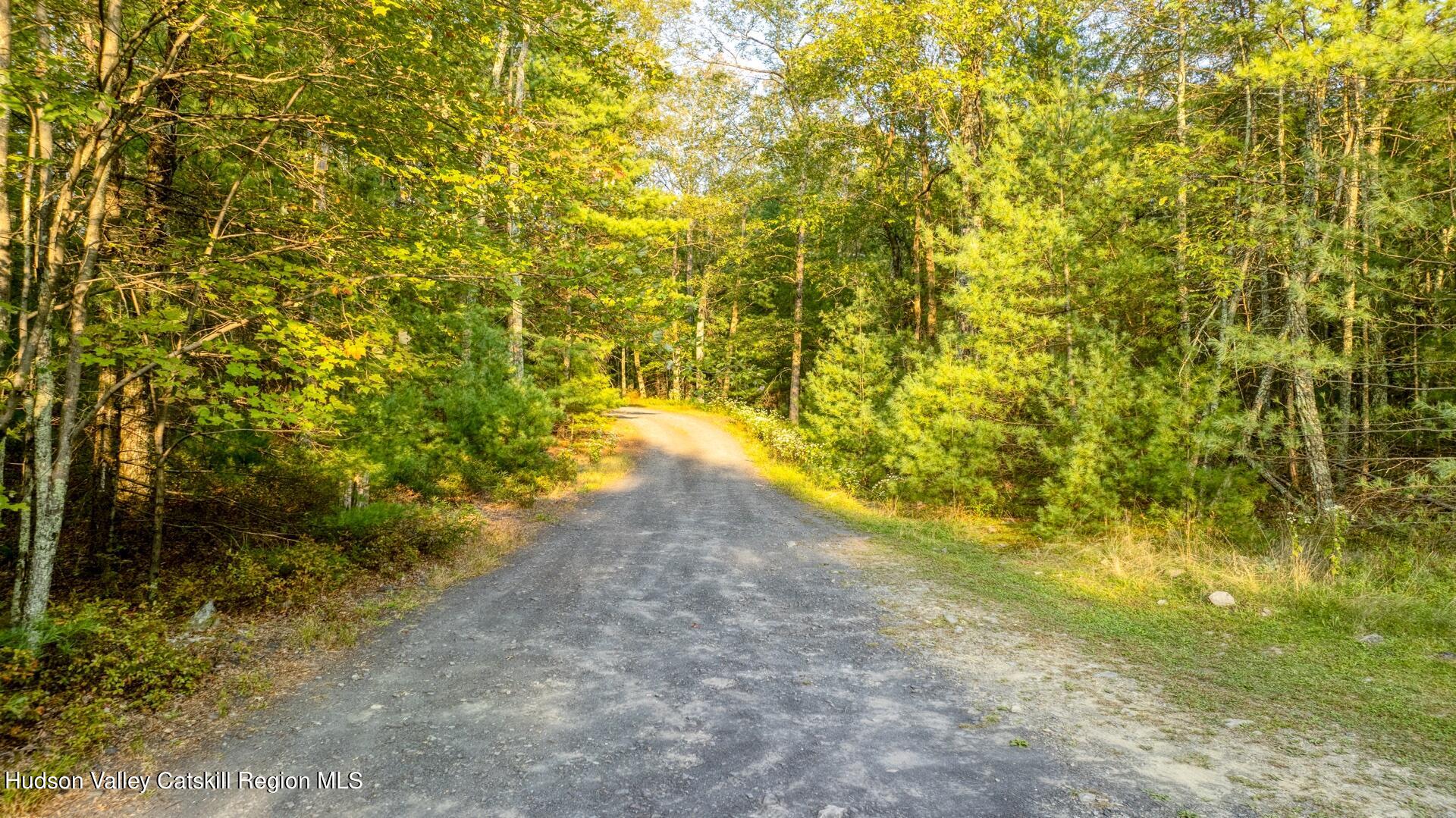 6 Bluestone Ridge Hurley, NY 12443 - Photo 46 of 53 Image-55