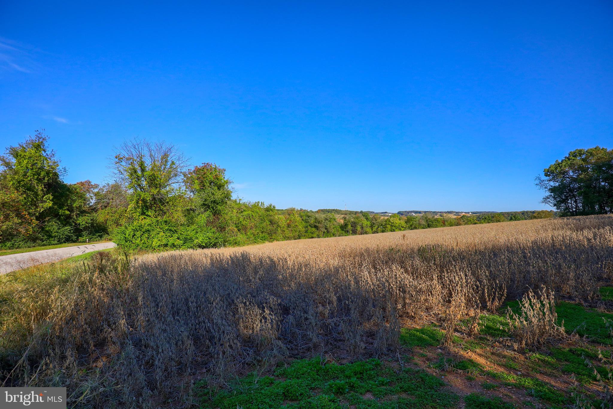 Lot 2 Loop Road Seven Valleys, PA 17360 - Photo 11 of 17