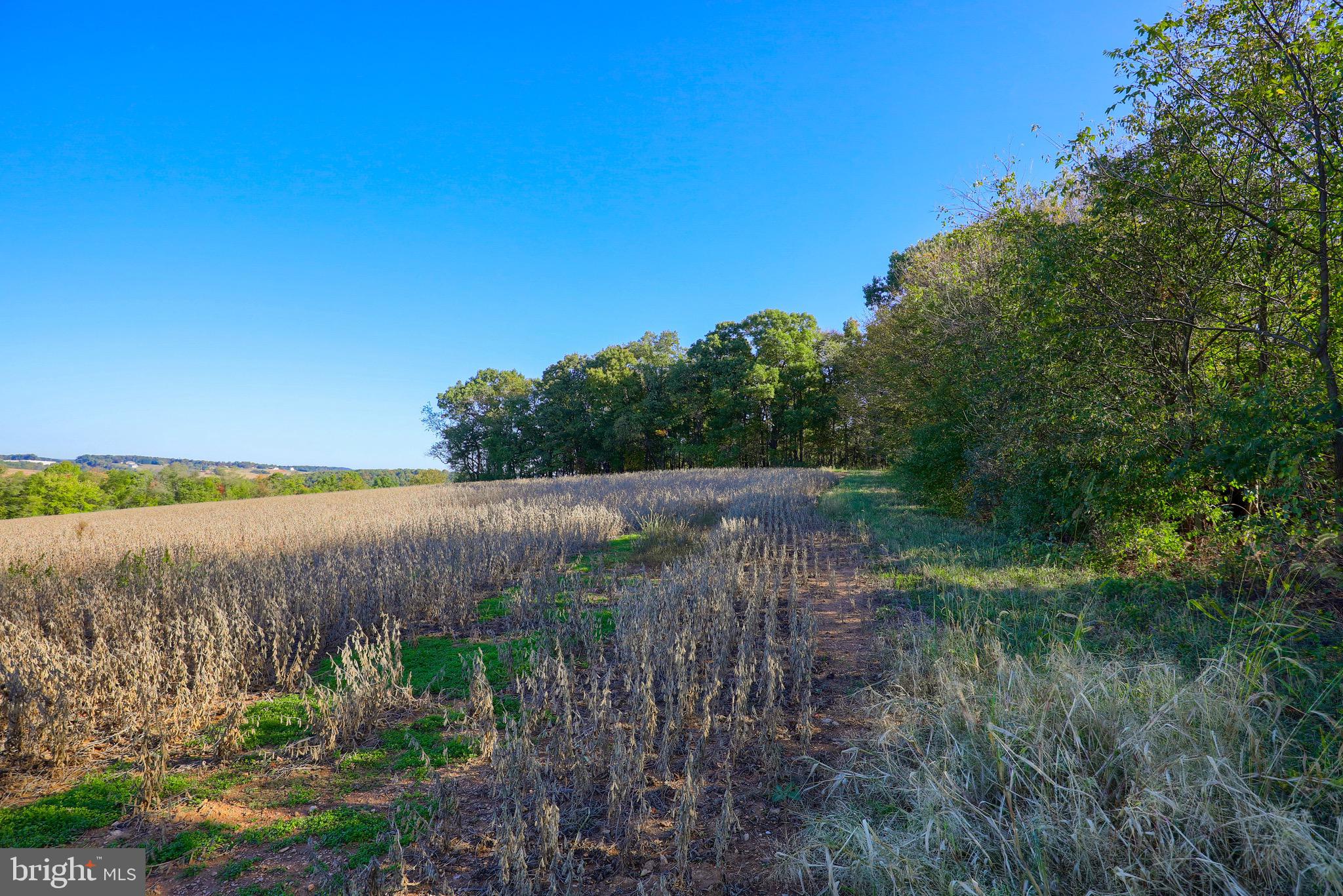 Lot 2 Loop Road Seven Valleys, PA 17360 - Photo 12 of 17