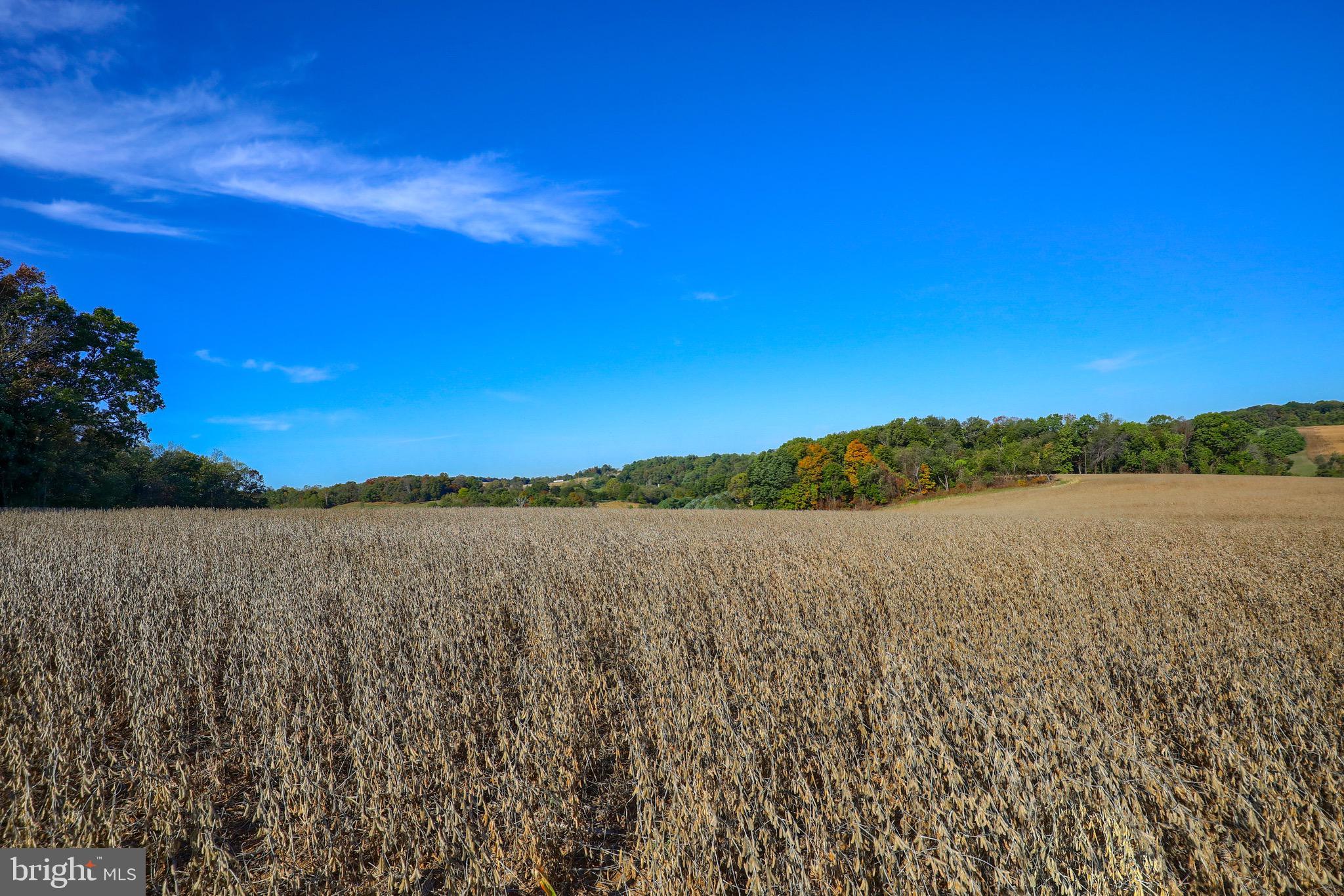 Lot 2 Loop Road Seven Valleys, PA 17360 - Photo 14 of 17