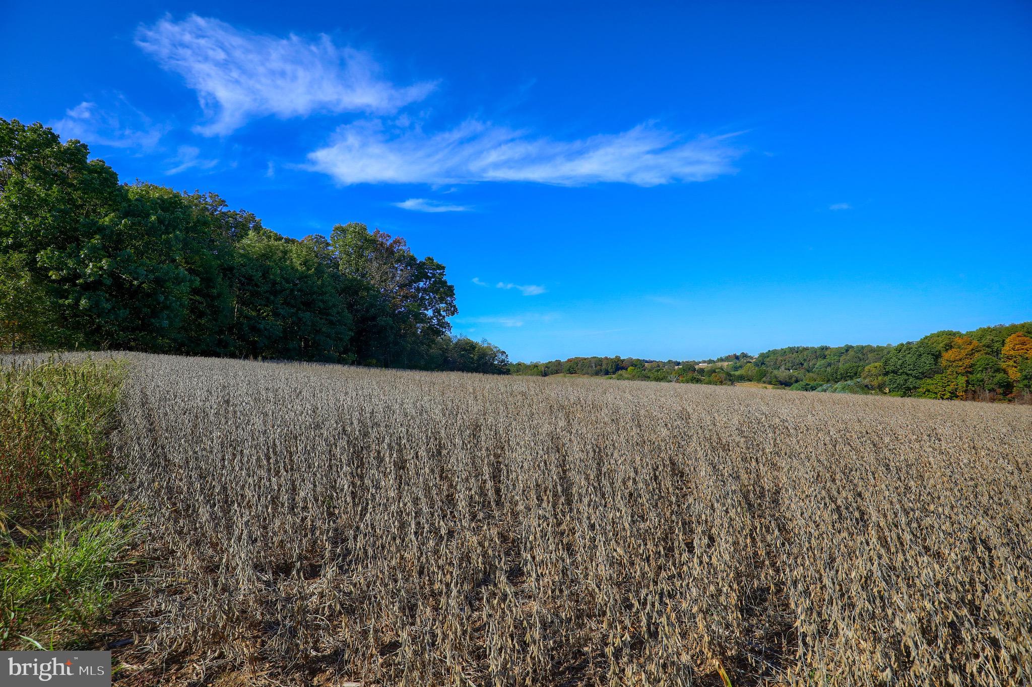 Lot 2 Loop Road Seven Valleys, PA 17360 - Photo 15 of 17