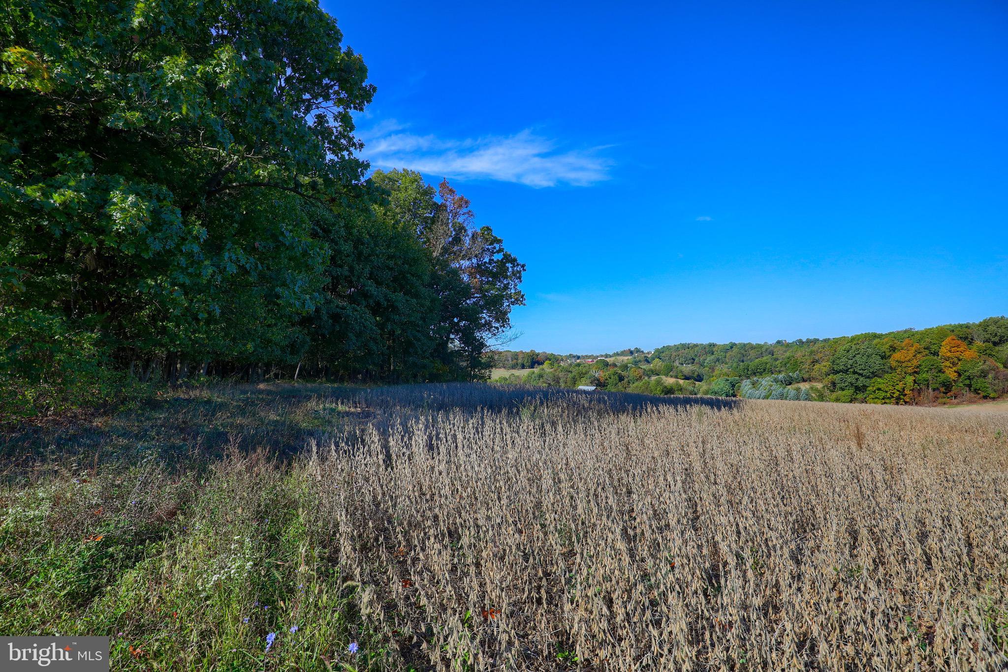 Lot 2 Loop Road Seven Valleys, PA 17360 - Photo 16 of 17