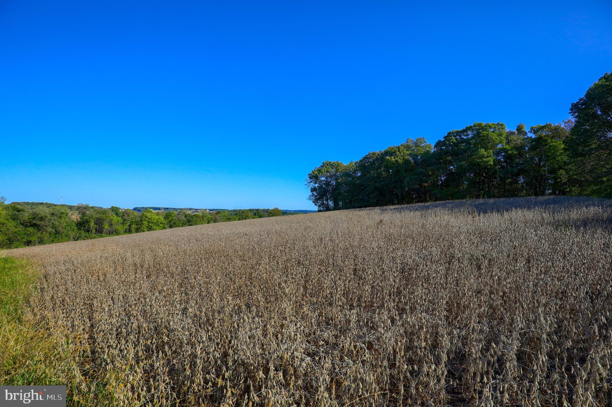 Lot 2 Loop Road Seven Valleys, PA 17360 - Photo 6 of 17