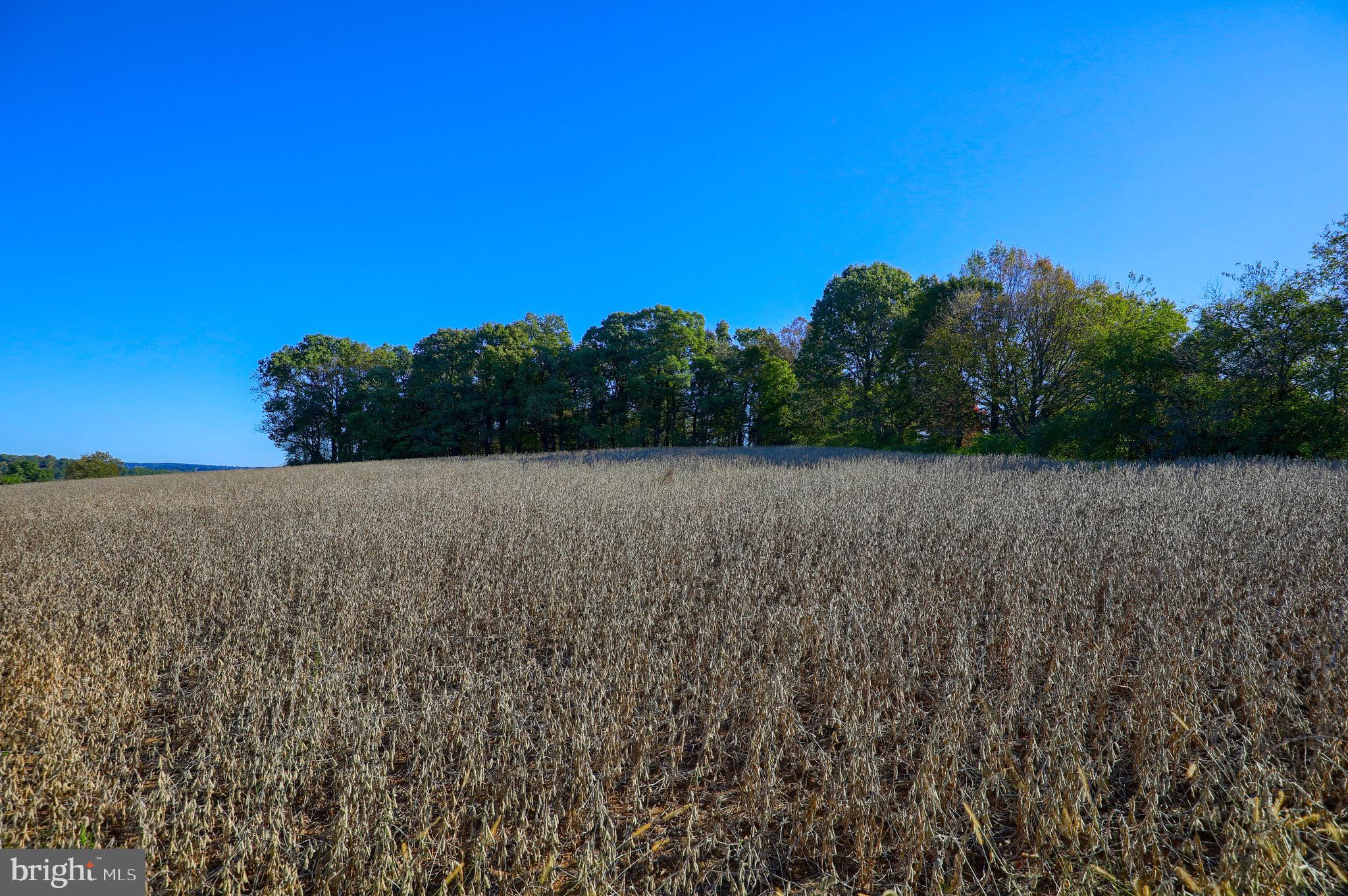 Lot 2 Loop Road Seven Valleys, PA 17360 - Photo 7 of 17