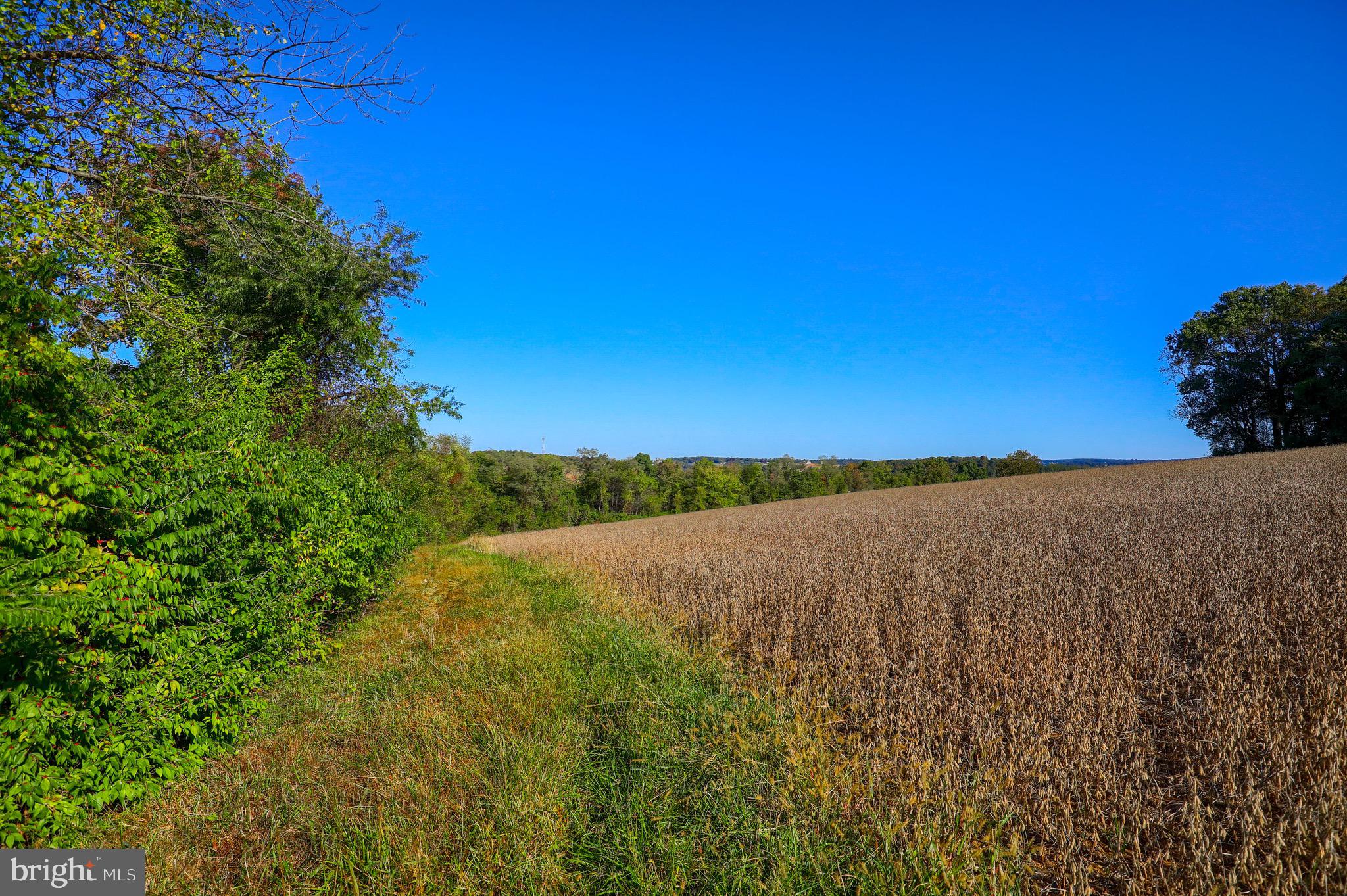 Lot 2 Loop Road Seven Valleys, PA 17360 - Photo 8 of 17