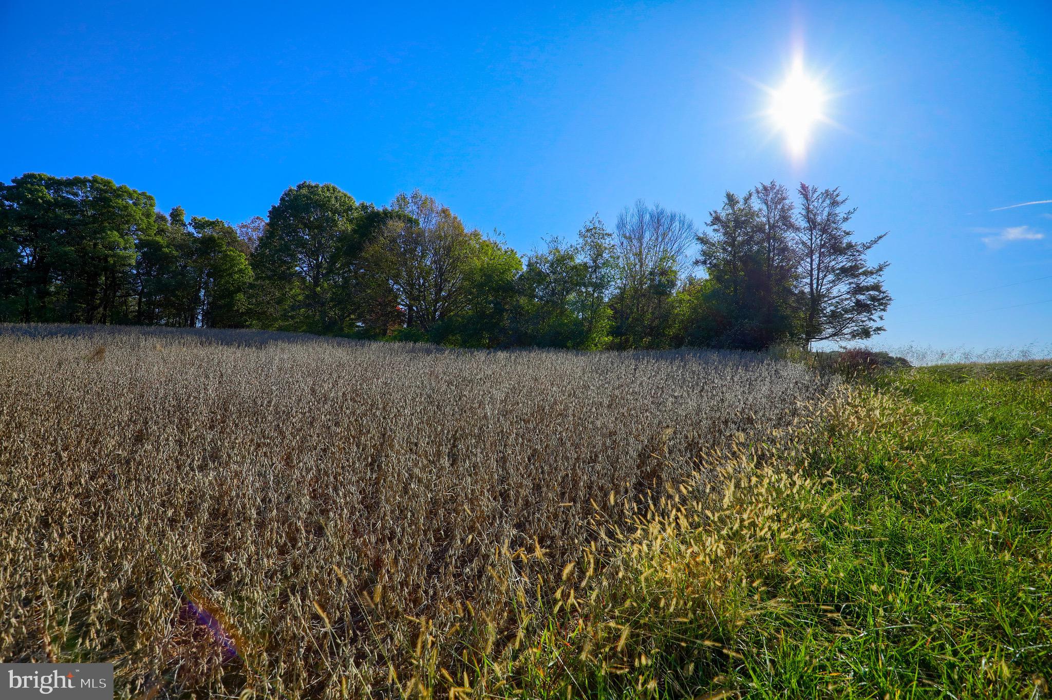 Lot 2 Loop Road Seven Valleys, PA 17360 - Photo 9 of 17