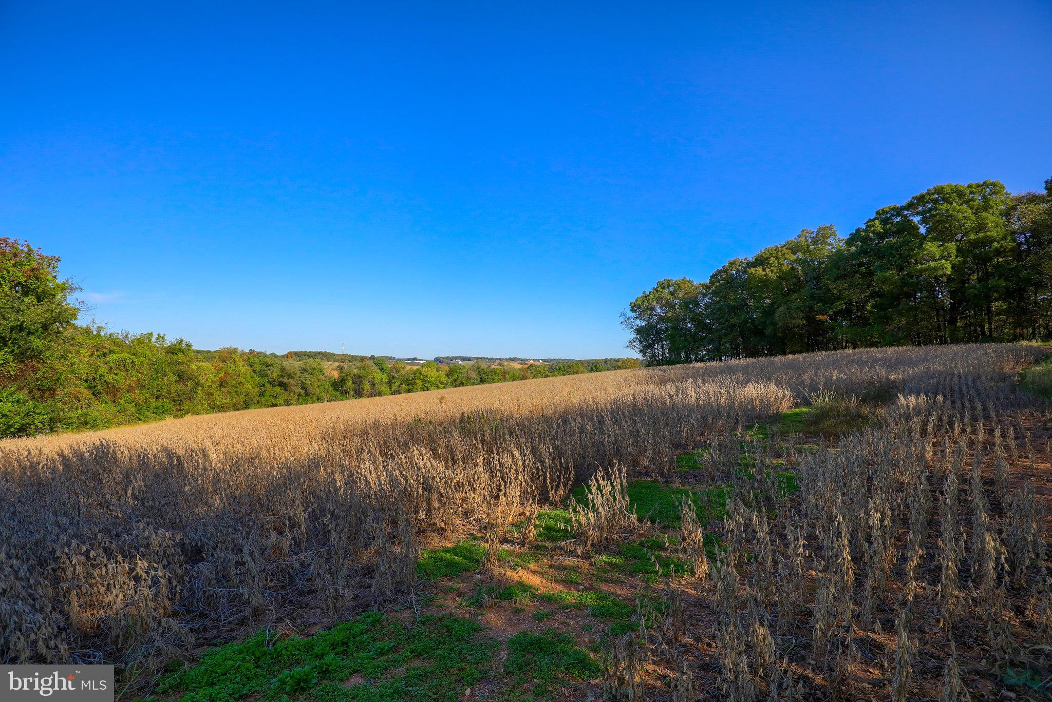 Lot 2 Loop Road Seven Valleys, PA 17360 - Photo 10 of 17