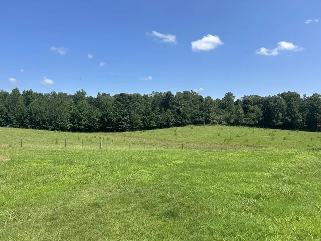a view of a green field
