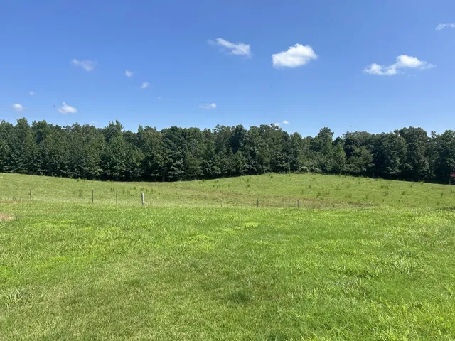 a view of a lake with a yard