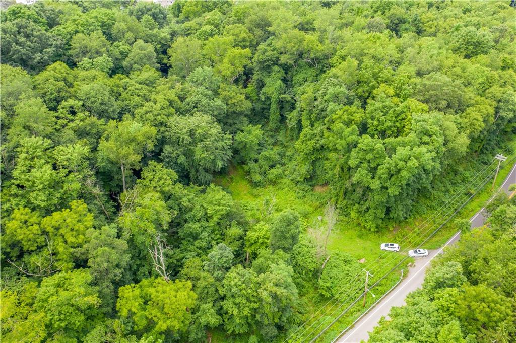 0 Spring Run Rd Extension Coraopolis, PA 15108 - Photo 2 of 8 a view of a lush green forest