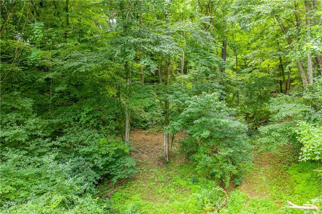 0 Spring Run Rd Extension Coraopolis, PA 15108 - Photo 4 of 8 a view of a lush green forest with lots of trees