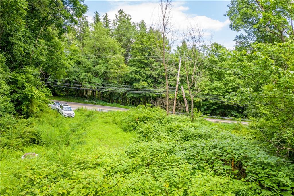 0 Spring Run Rd Extension Coraopolis, PA 15108 - Photo 5 of 8 a view of a garden with a tree
