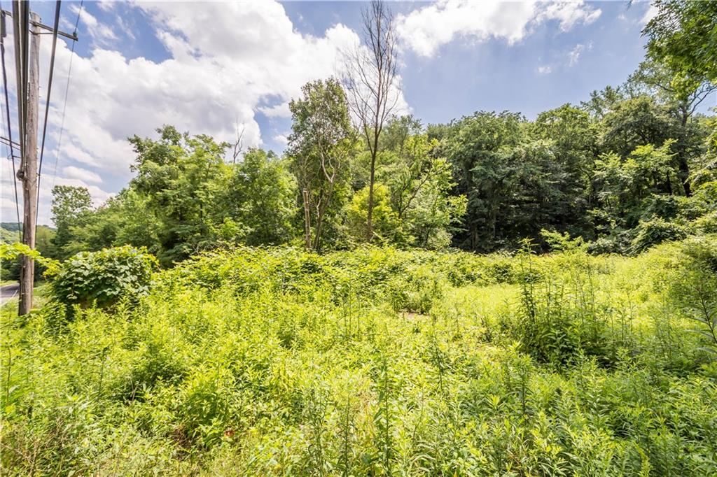 0 Spring Run Rd Extension Coraopolis, PA 15108 - Photo 8 of 8 a view of a bunch of plants and trees