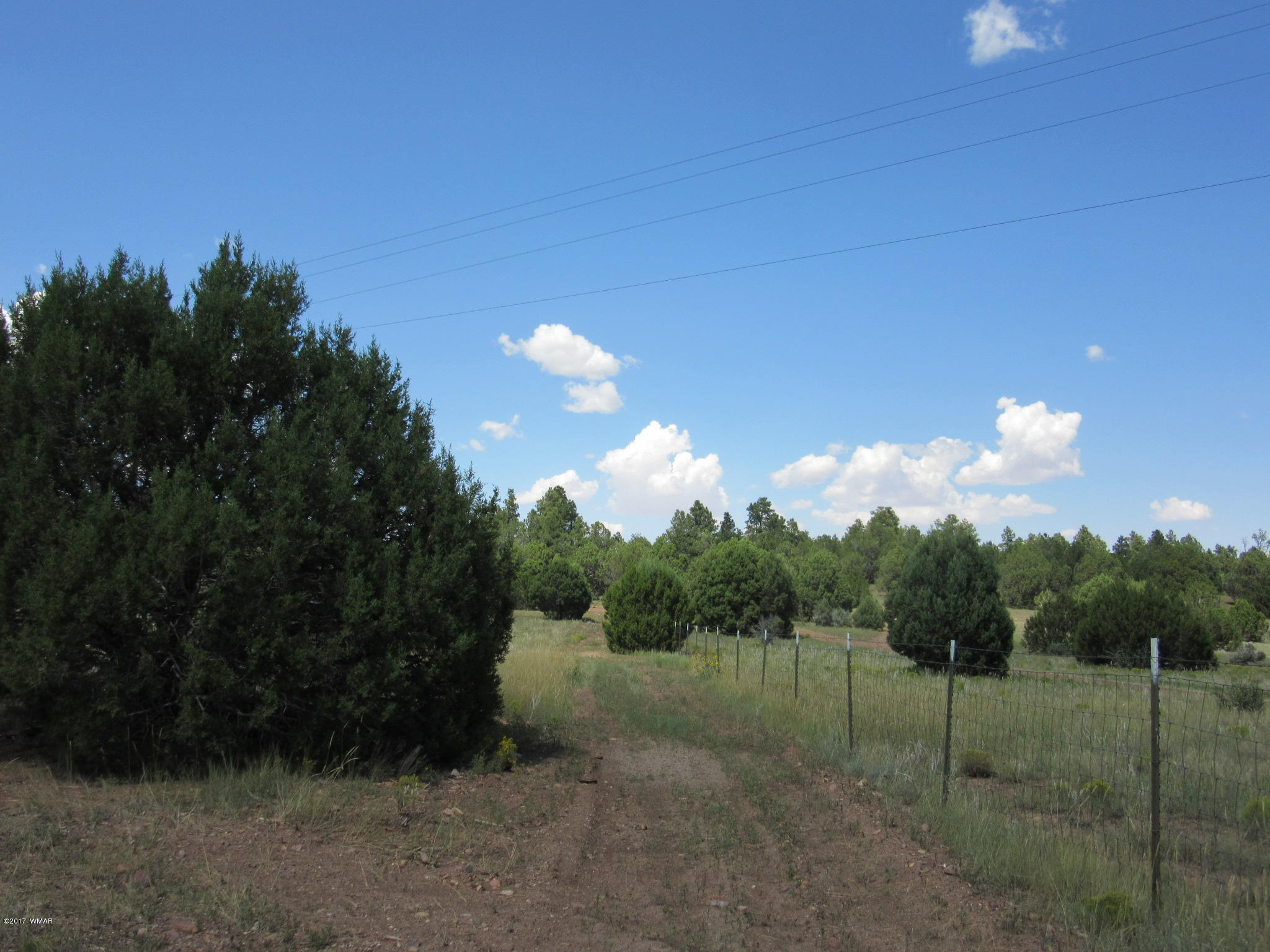 1521 Cardinal Lane Show Low, AZ 85901 - Photo 59 of 64