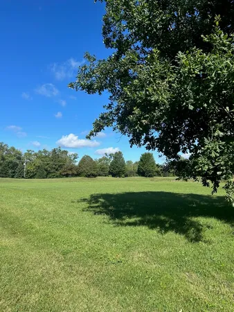 a view of field with grass and trees