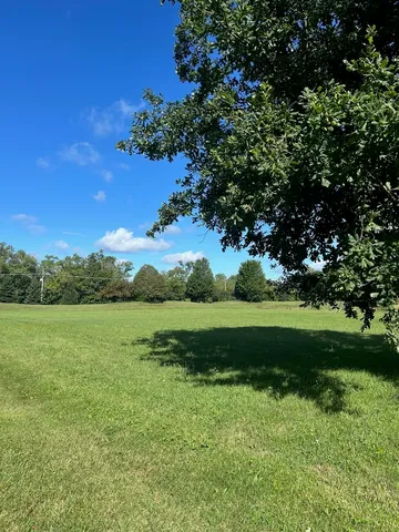 a view of field with grass and trees
