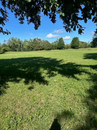 a view of a garden with a lake