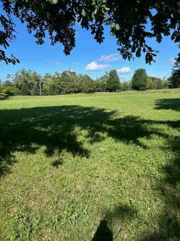 a view of a garden with a lake