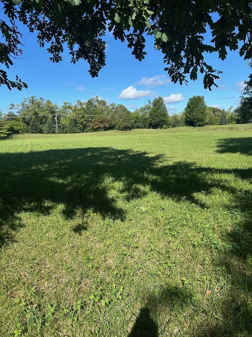 33 Cutters Run South Barrington, IL 60010 - Photo 2 of 4 a view of a garden with a lake