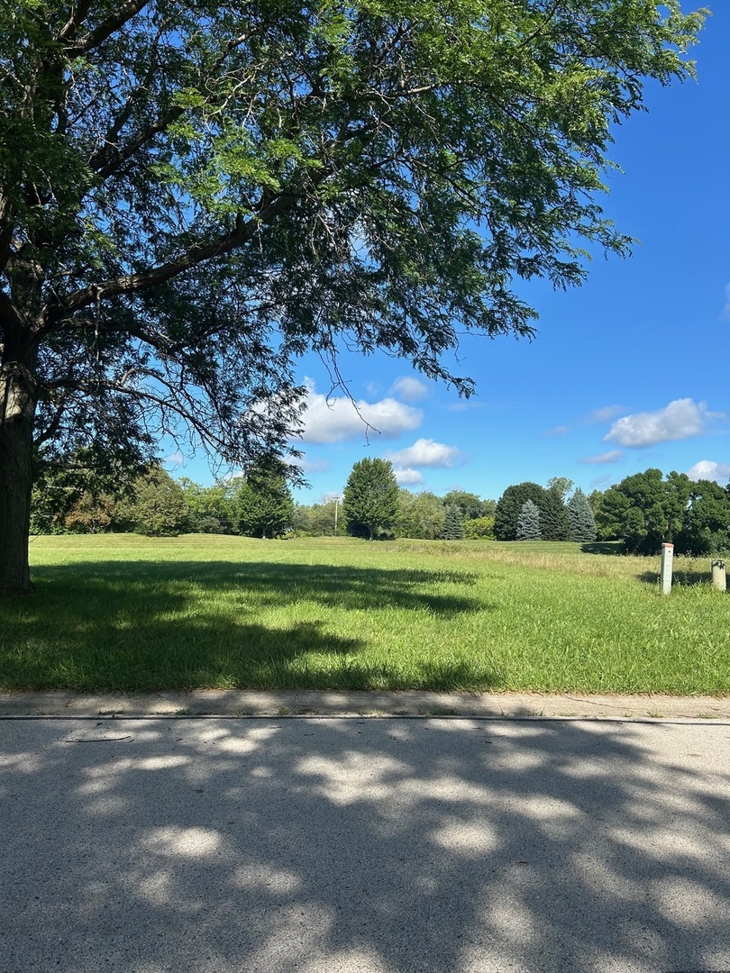 33 Cutters Run South Barrington, IL 60010 - Photo 3 of 4 a view of a park