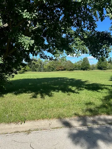 a view of a garden with a tree