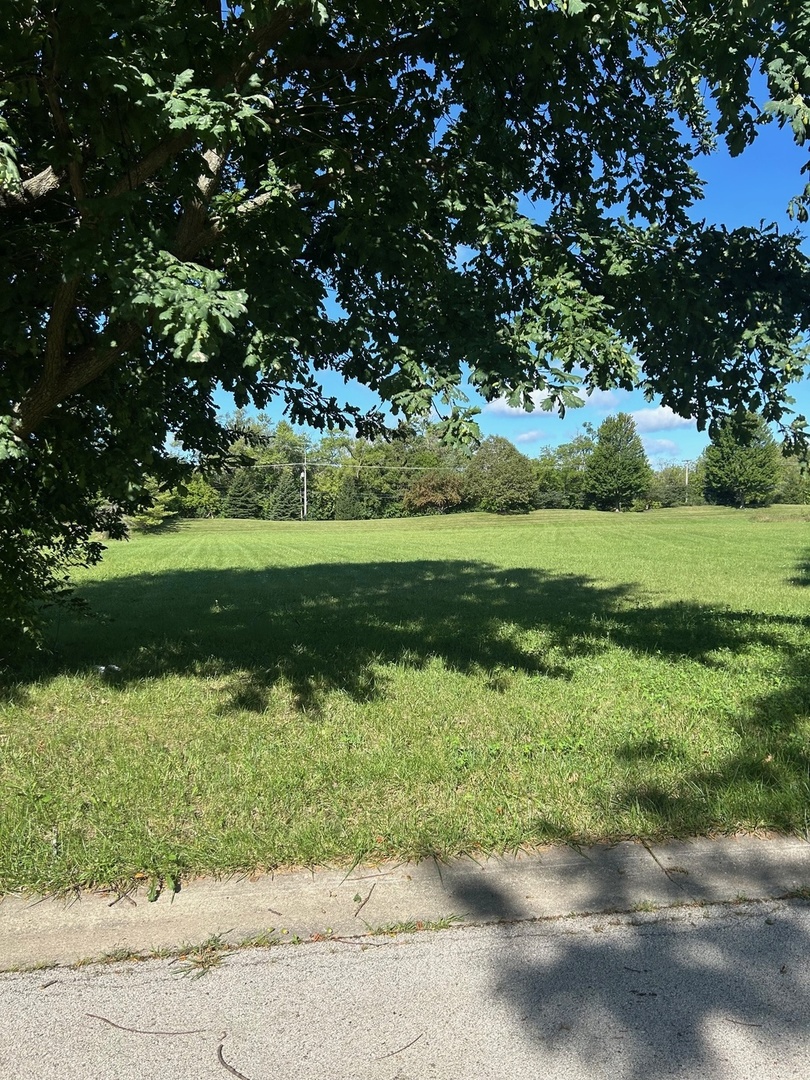 33 Cutters Run South Barrington, IL 60010 - Photo 4 of 4 a view of a garden with a tree