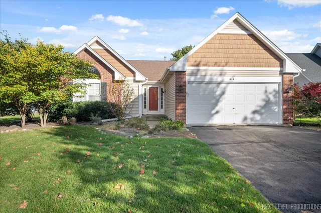 a view of backyard with plants and large trees