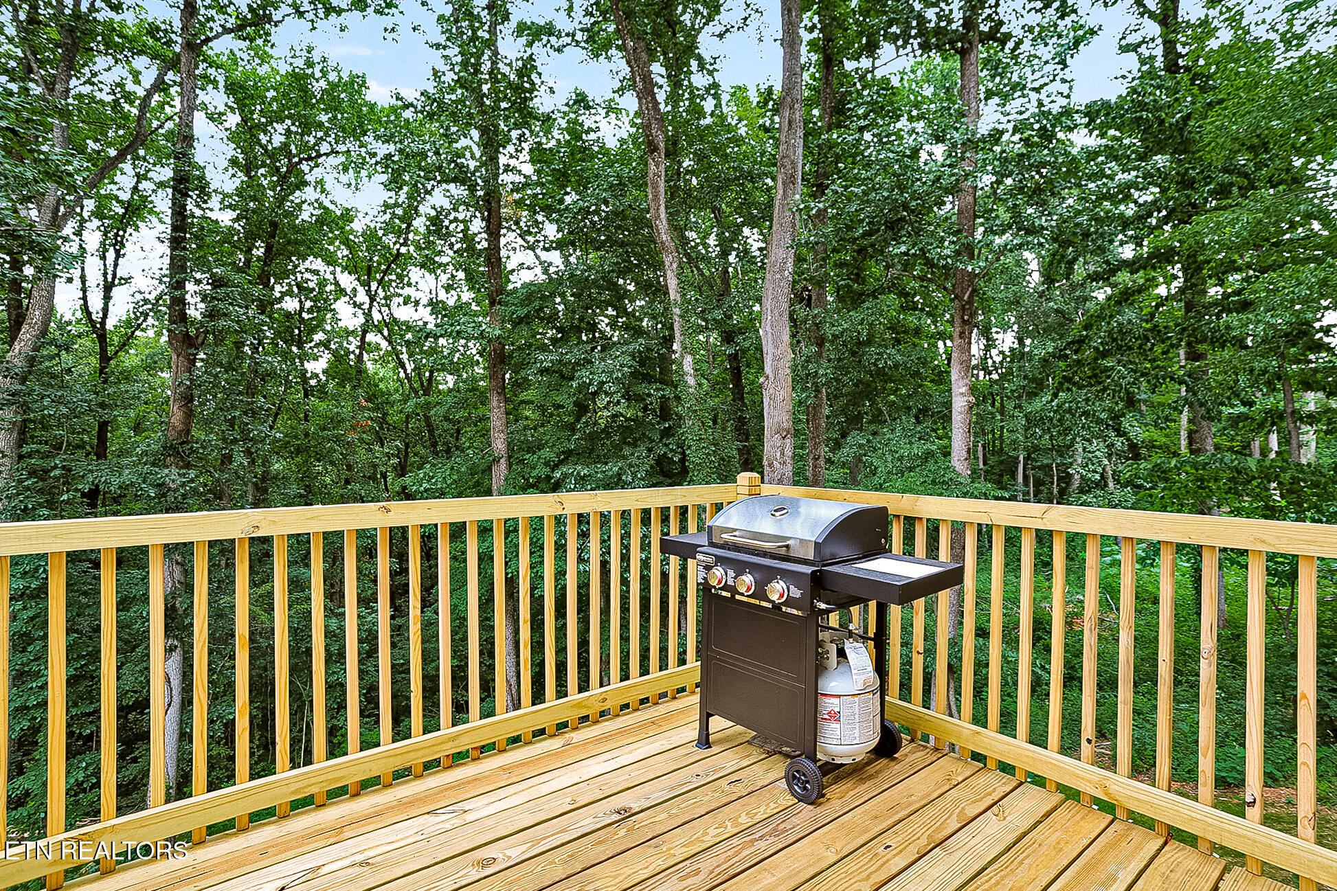 3642 Big Springs Road Friendsville, TN 37737 - Photo 38 of 43 3642 Big Springs Rd-236