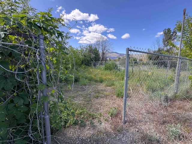 a view of a yard with a tree