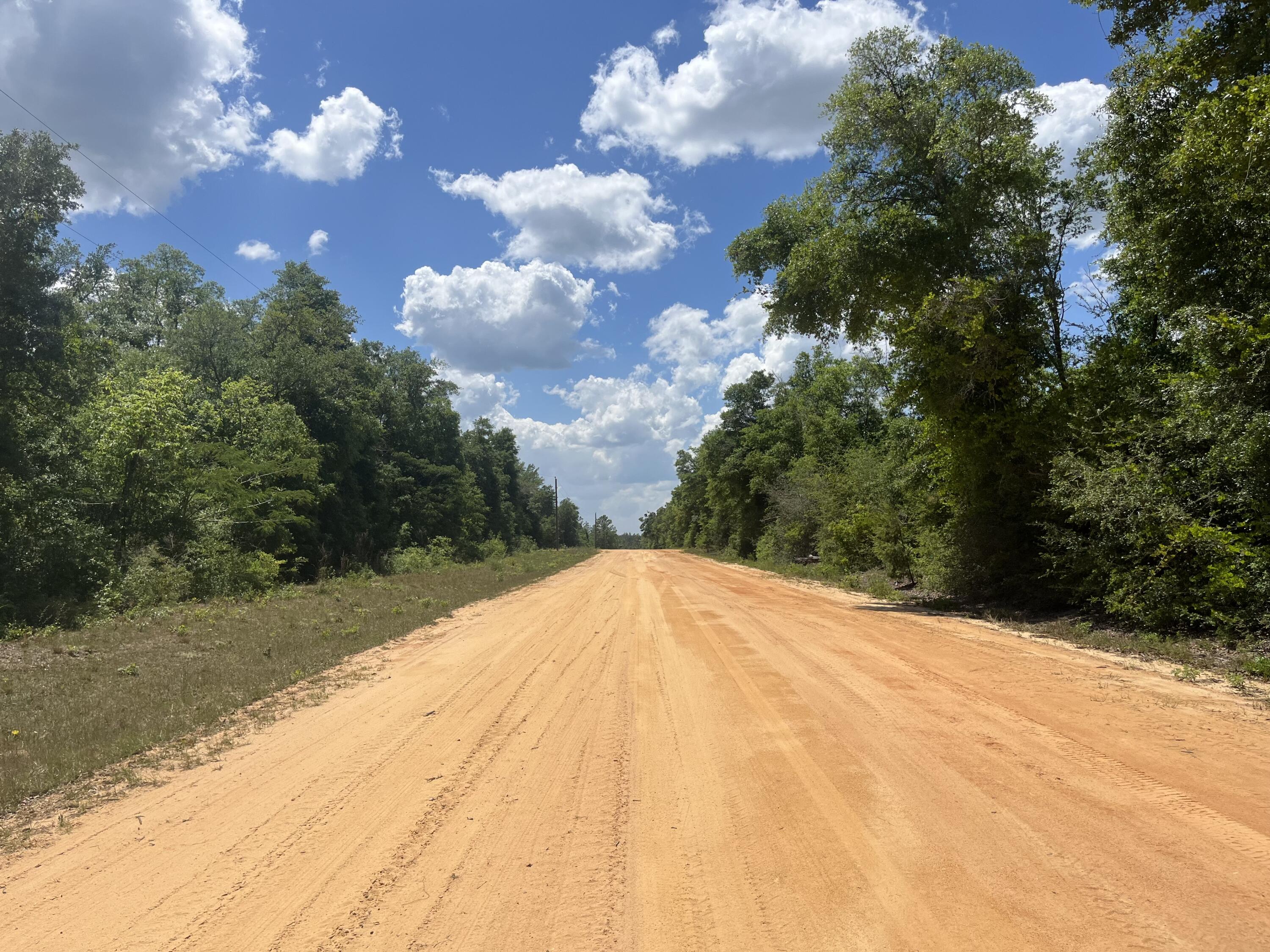 0 Hocking Street Alford, FL 32420 - Photo 2 of 7 IMG_1967