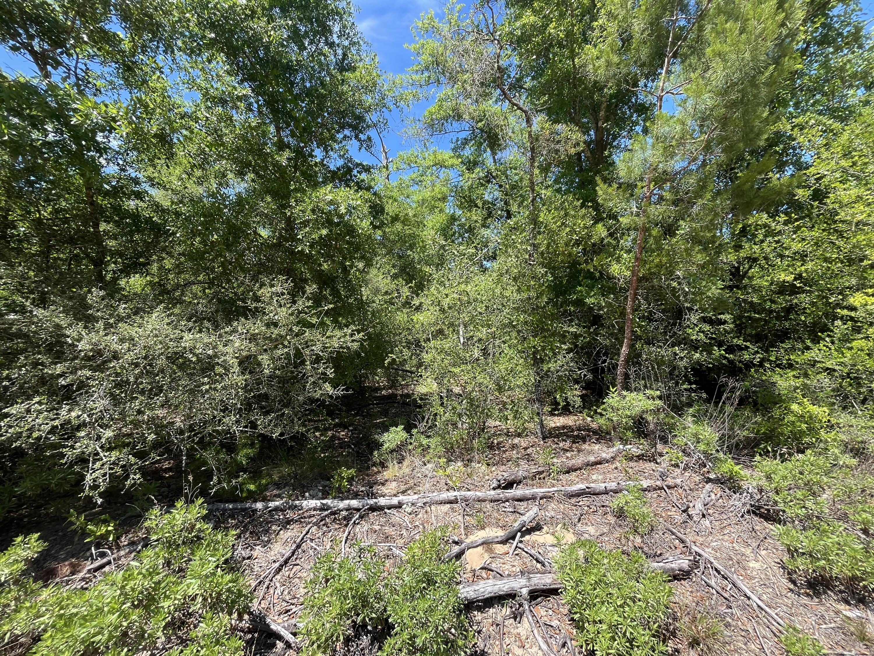 0 Hocking Street Alford, FL 32420 - Photo 4 of 7 IMG_1969