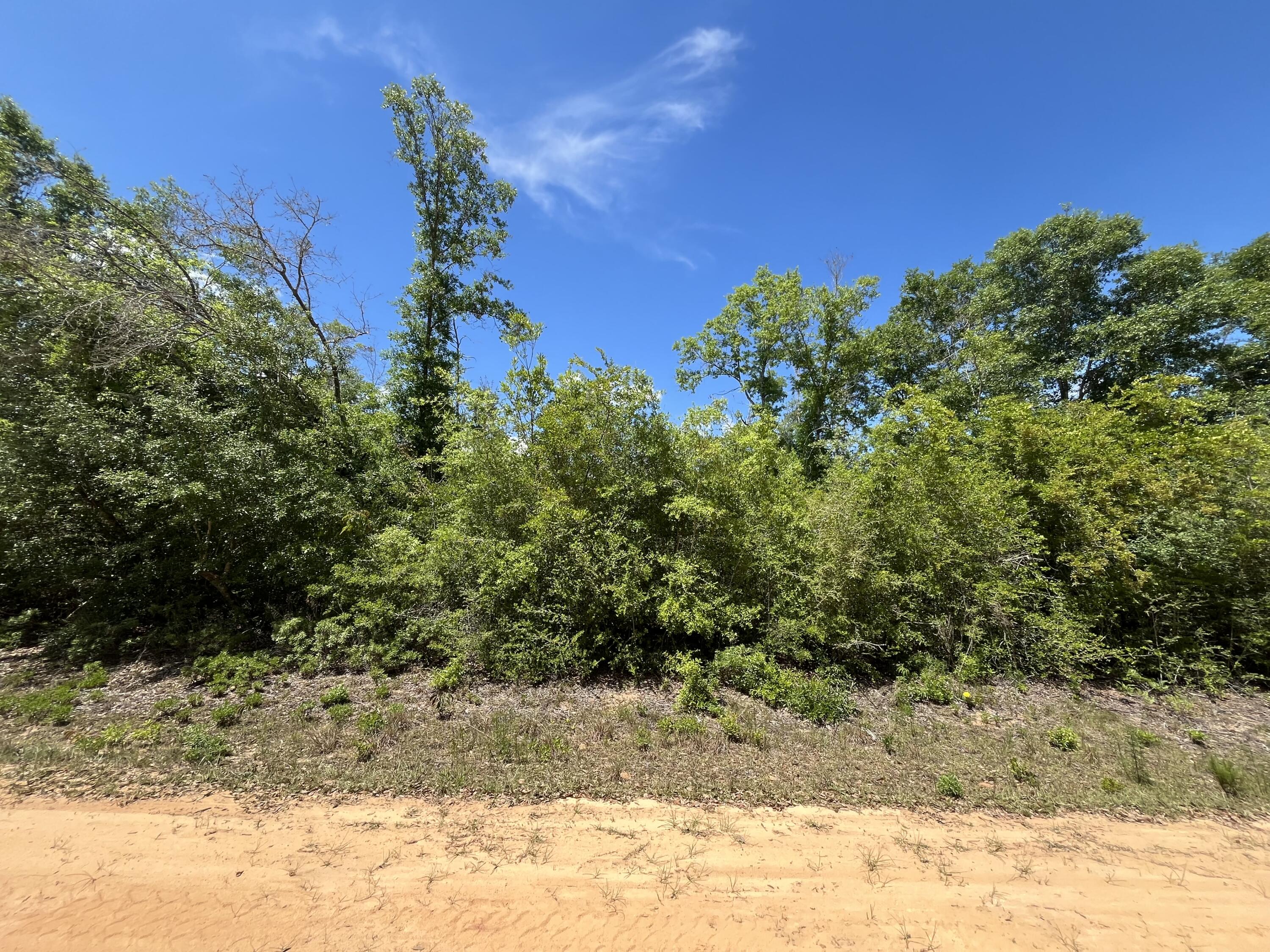 0 Hocking Street Alford, FL 32420 - Photo 5 of 7 IMG_1970