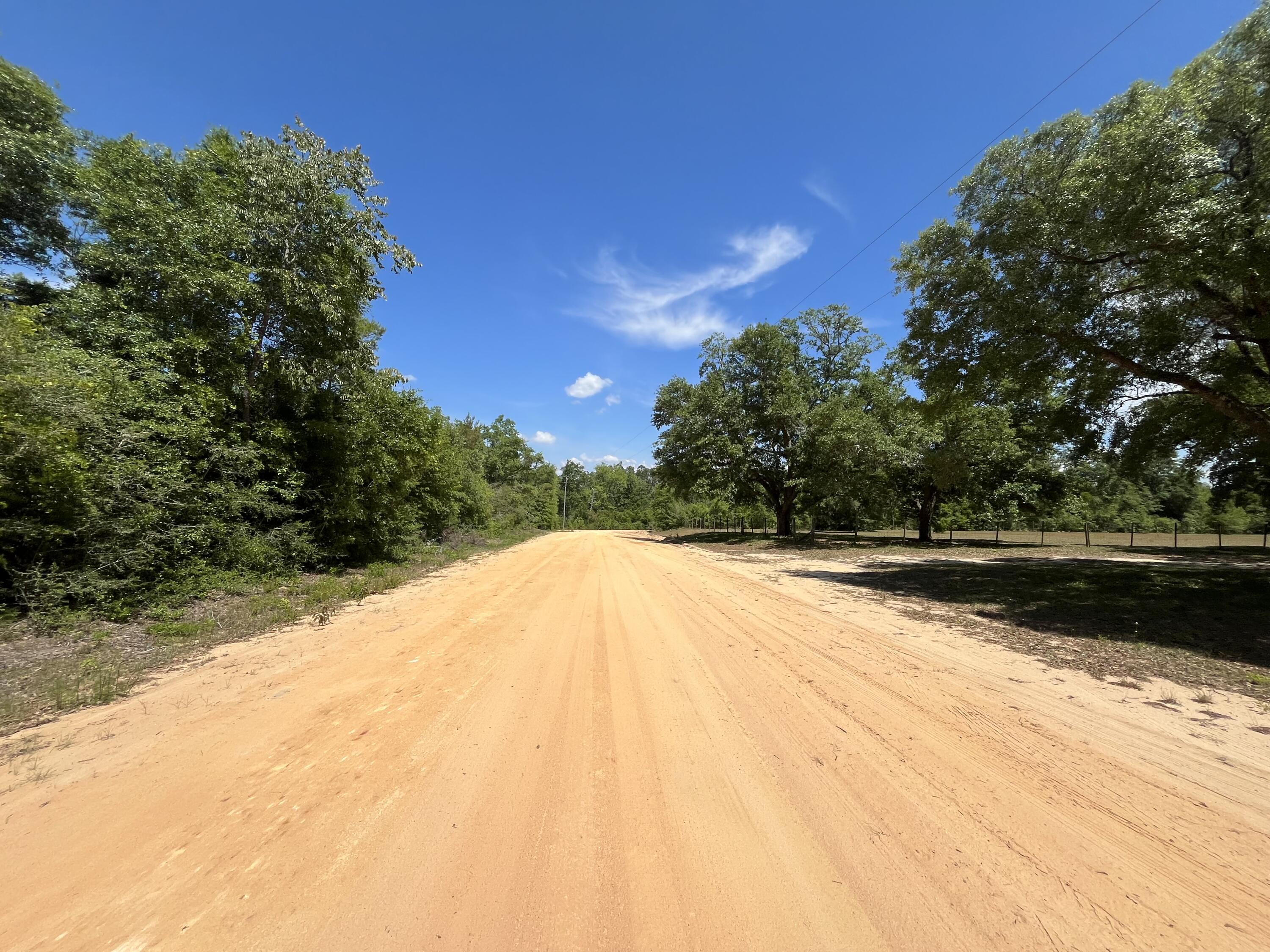 0 Hocking Street Alford, FL 32420 - Photo 6 of 7 IMG_1971