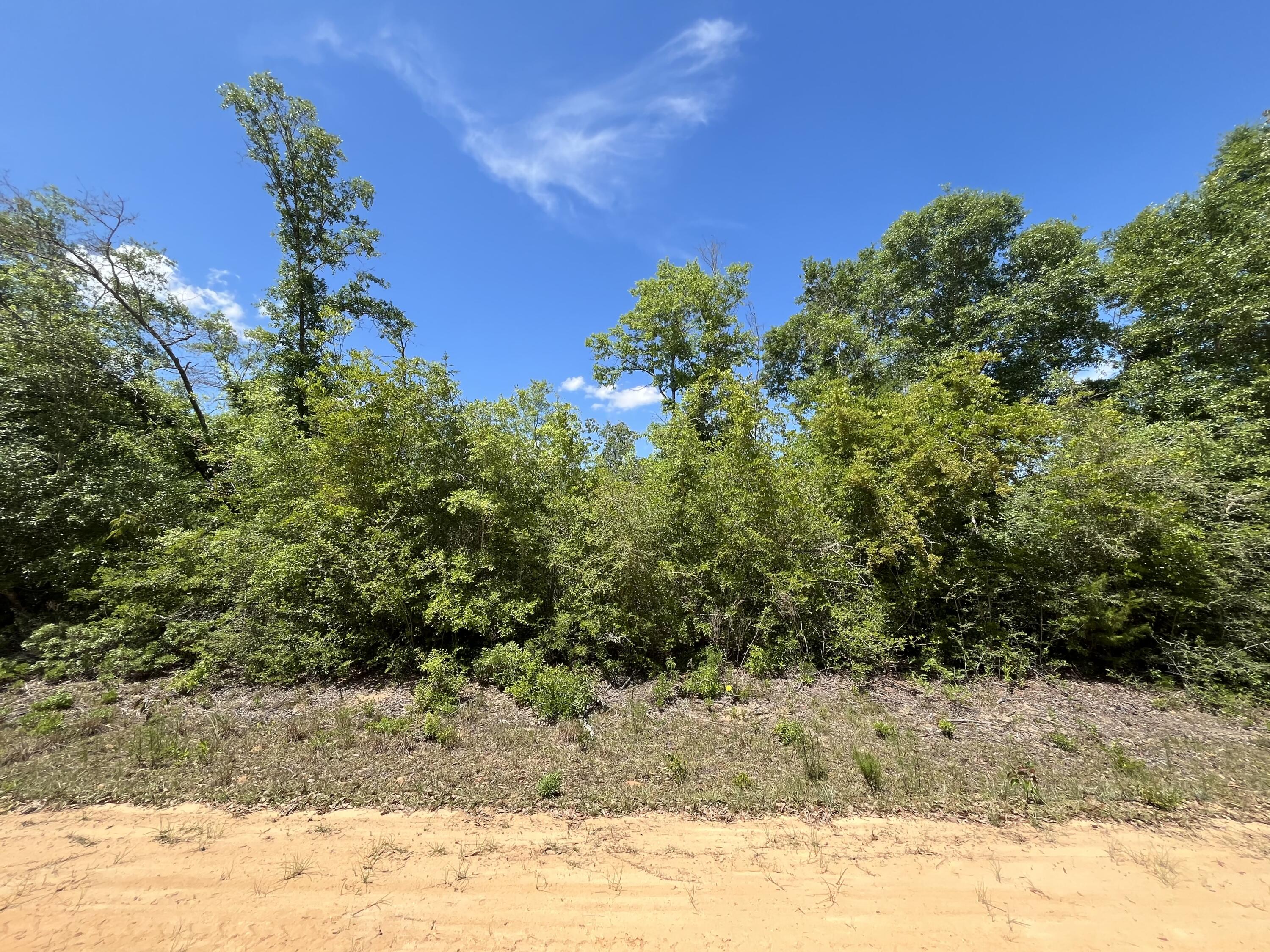 0 Hocking Street Alford, FL 32420 - Photo 7 of 7 IMG_1972