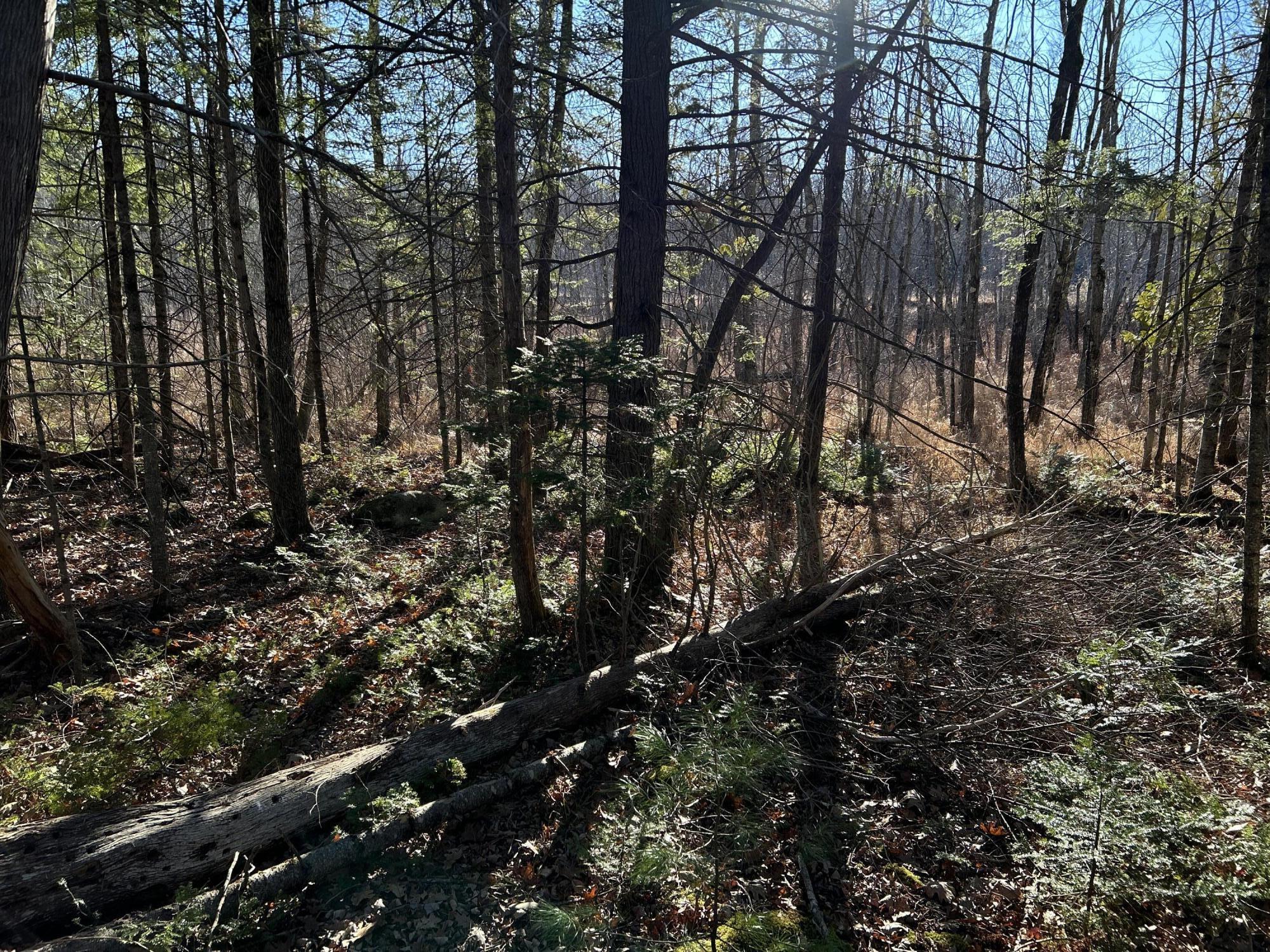 10 10 Lots Road Oakland, ME 04963 - Photo 9 of 28 IMG_3396