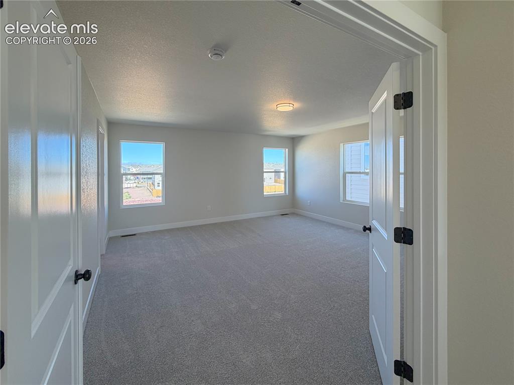 8206 Lemon Grass Road Peyton, CO 80831 - Photo 19 of 33