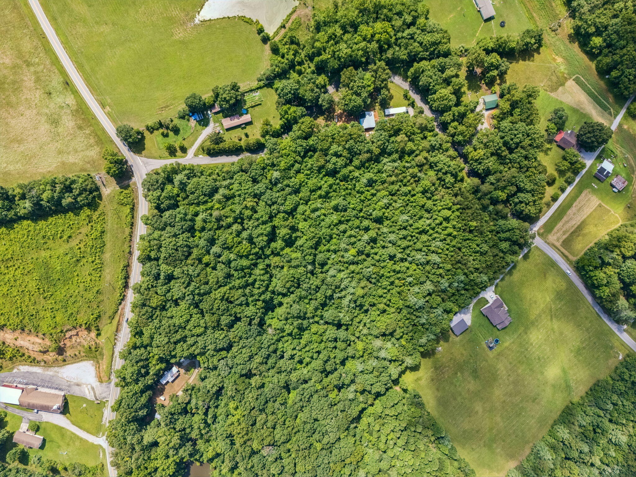 0 Ridge Road Lancing, TN 37770 - Photo 14 of 18
