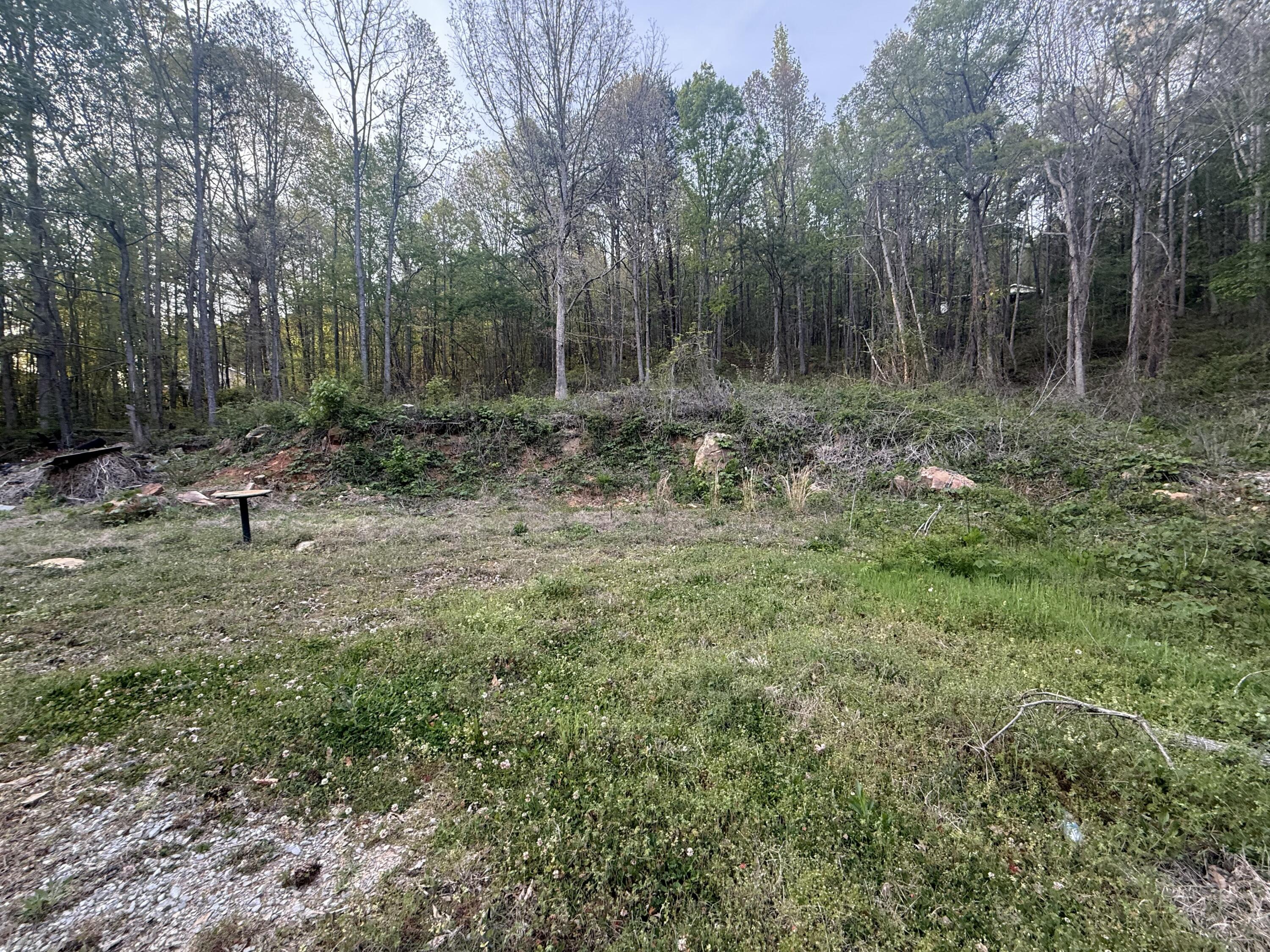 475 Hicks Hollow Road Guild, TN 37340 - Photo 3 of 5 IMG_20260410_120423