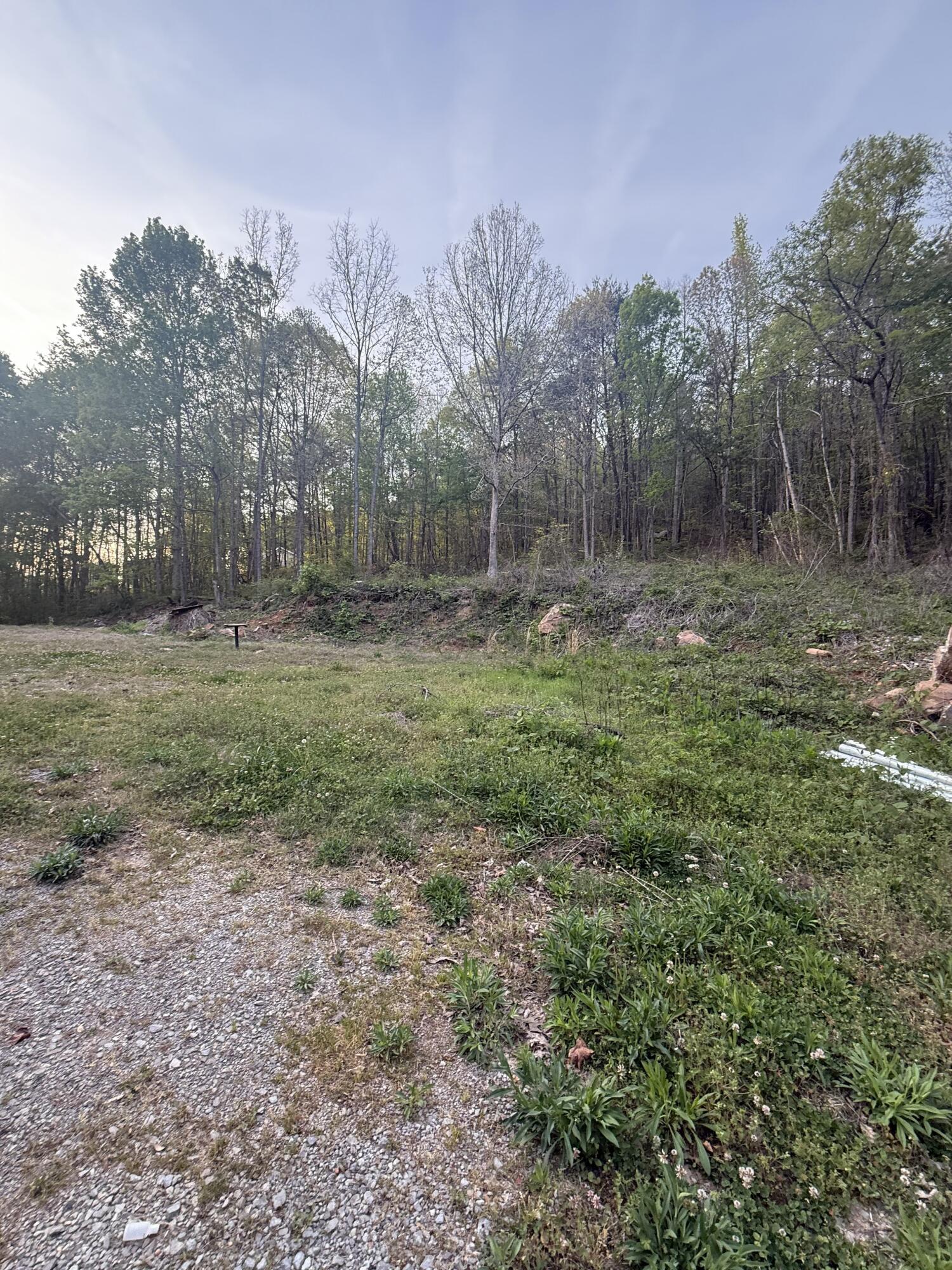 475 Hicks Hollow Road Guild, TN 37340 - Photo 4 of 5 IMG_20260410_120450