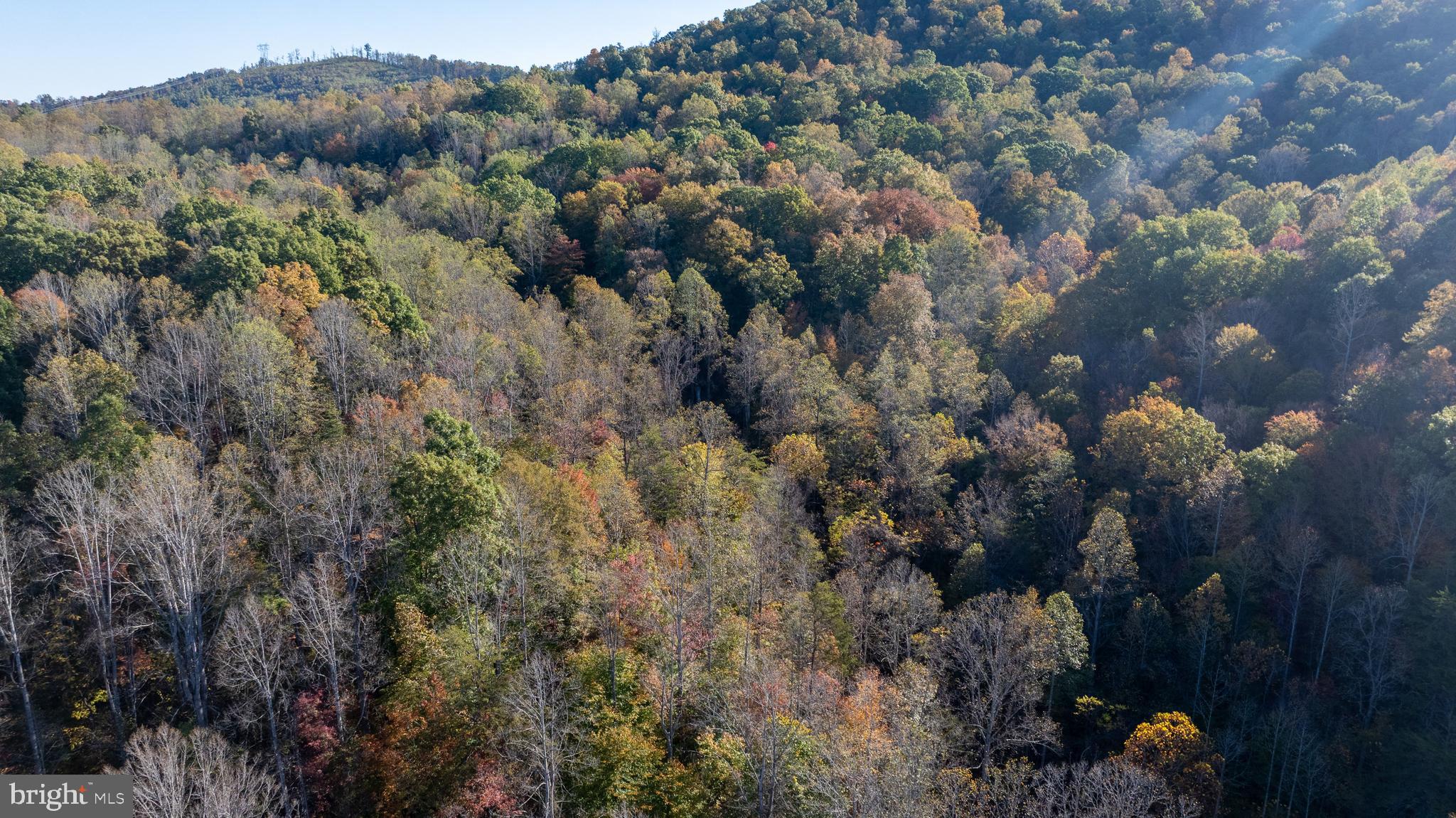 Republican Church, Unit 2 Ferrum, VA 24088 - Photo 31 of 48 a view of a forest with a forest