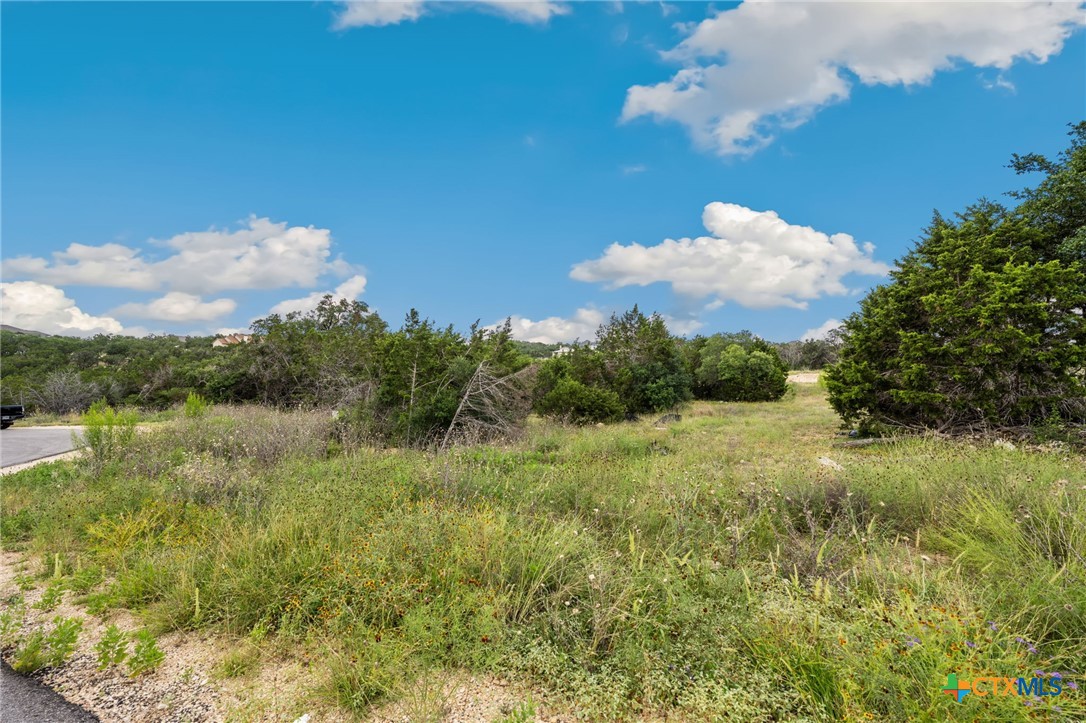 0 Tbd New Braunfels, TX 78132 - Photo 1 of 18 a view of a lake in middle of forest