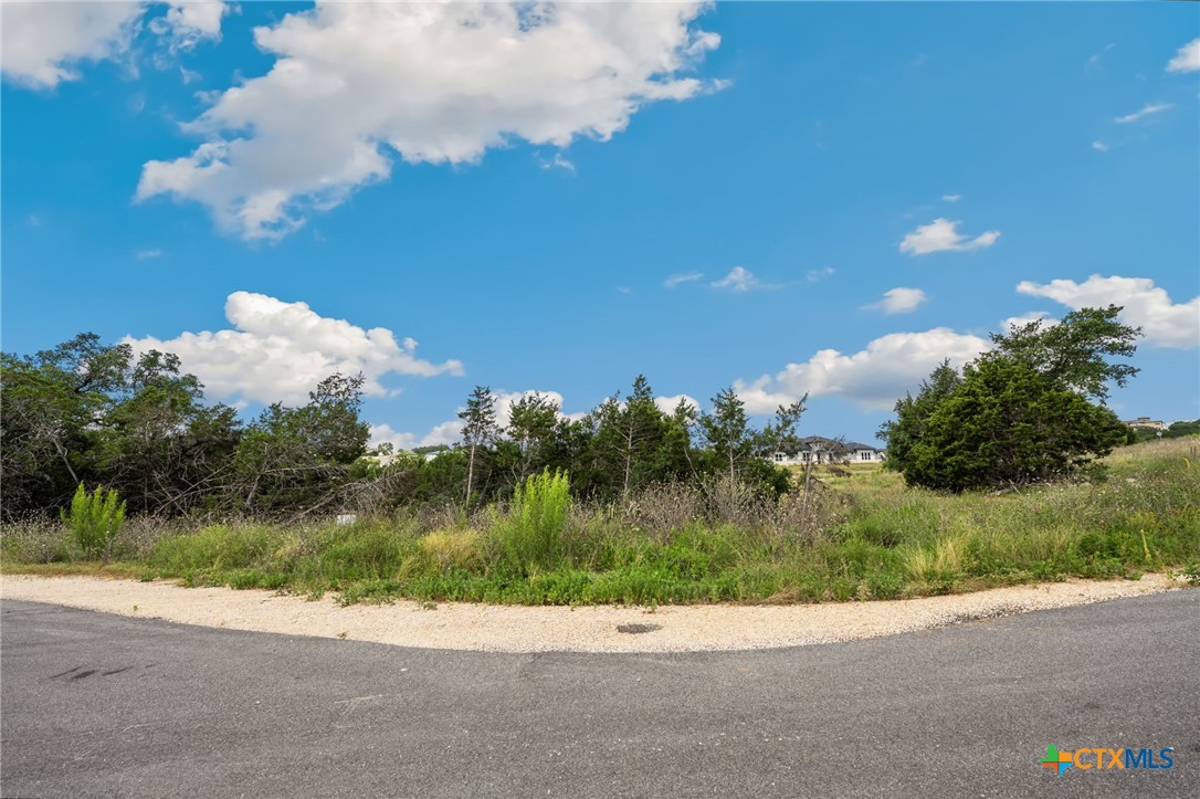0 Tbd New Braunfels, TX 78132 - Photo 2 of 18 a view of a street