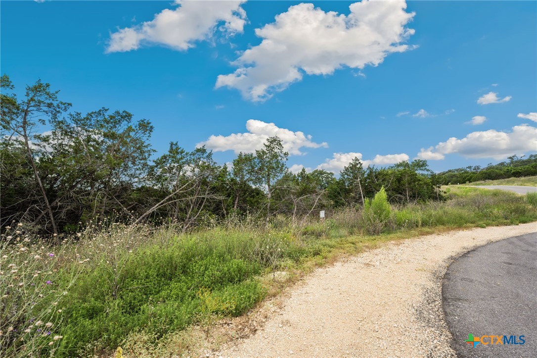 0 Tbd New Braunfels, TX 78132 - Photo 3 of 18 a view of a lake
