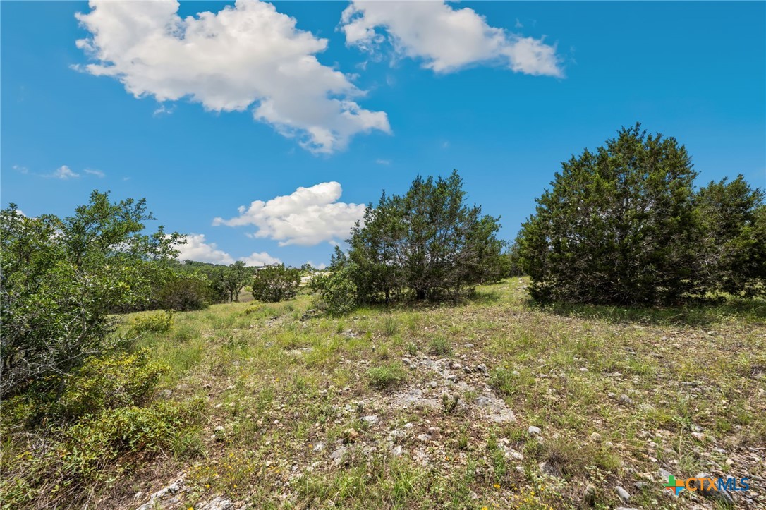 0 Tbd New Braunfels, TX 78132 - Photo 4 of 18 a view of a bunch of trees and bushes