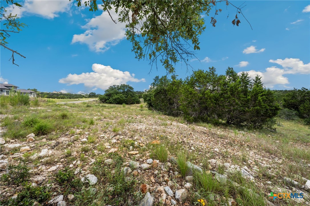 0 Tbd New Braunfels, TX 78132 - Photo 5 of 18 a view of a yard with an tree