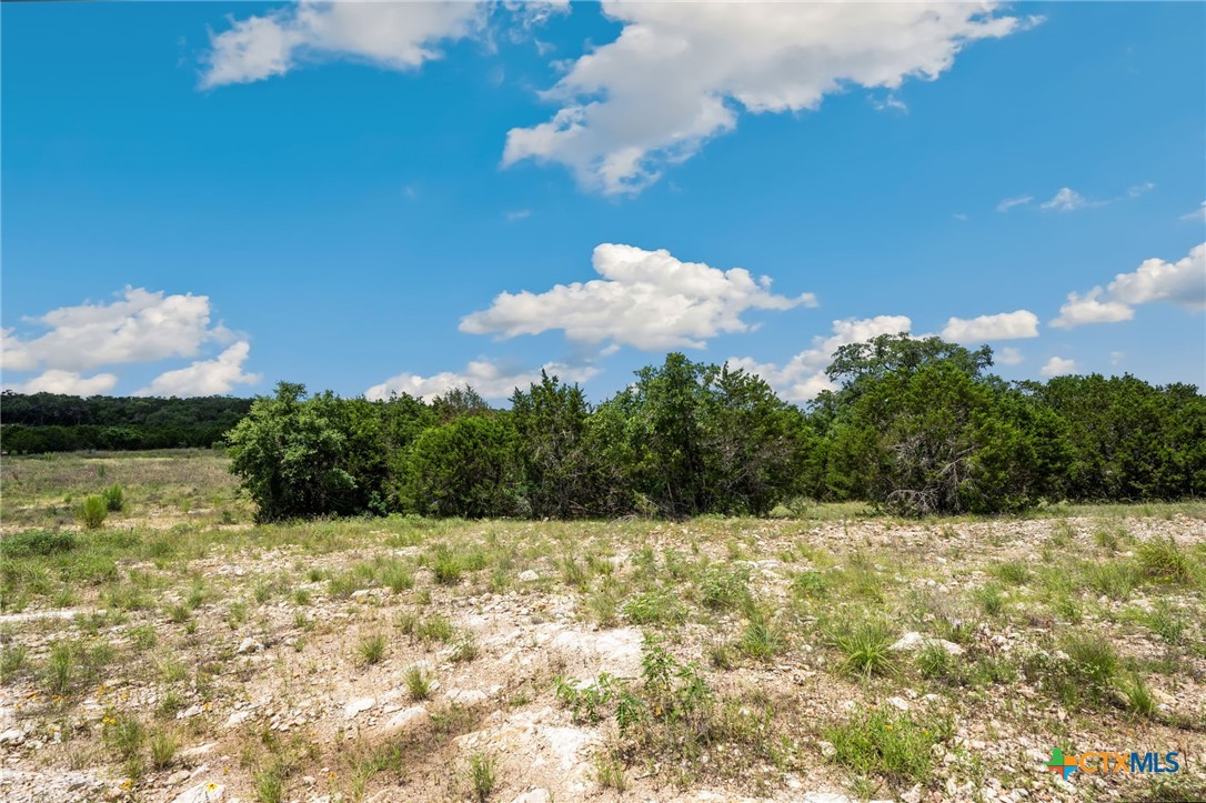 0 Tbd New Braunfels, TX 78132 - Photo 7 of 18 a view of a pathway with a yard