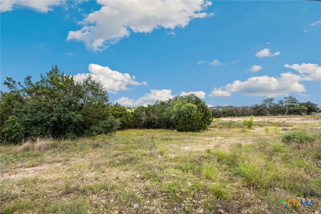 0 Tbd New Braunfels, TX 78132 - Photo 9 of 18 a view of a lake view