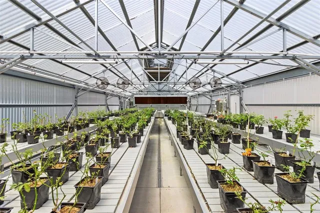 a view of a entryway with flower pots