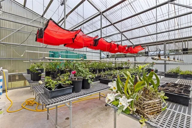 a store room filled with lots of fruit and vegetables