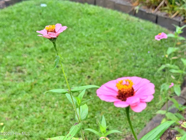 $350,000 | 1005 Coral Reef Drive, New Bern, NC 28560